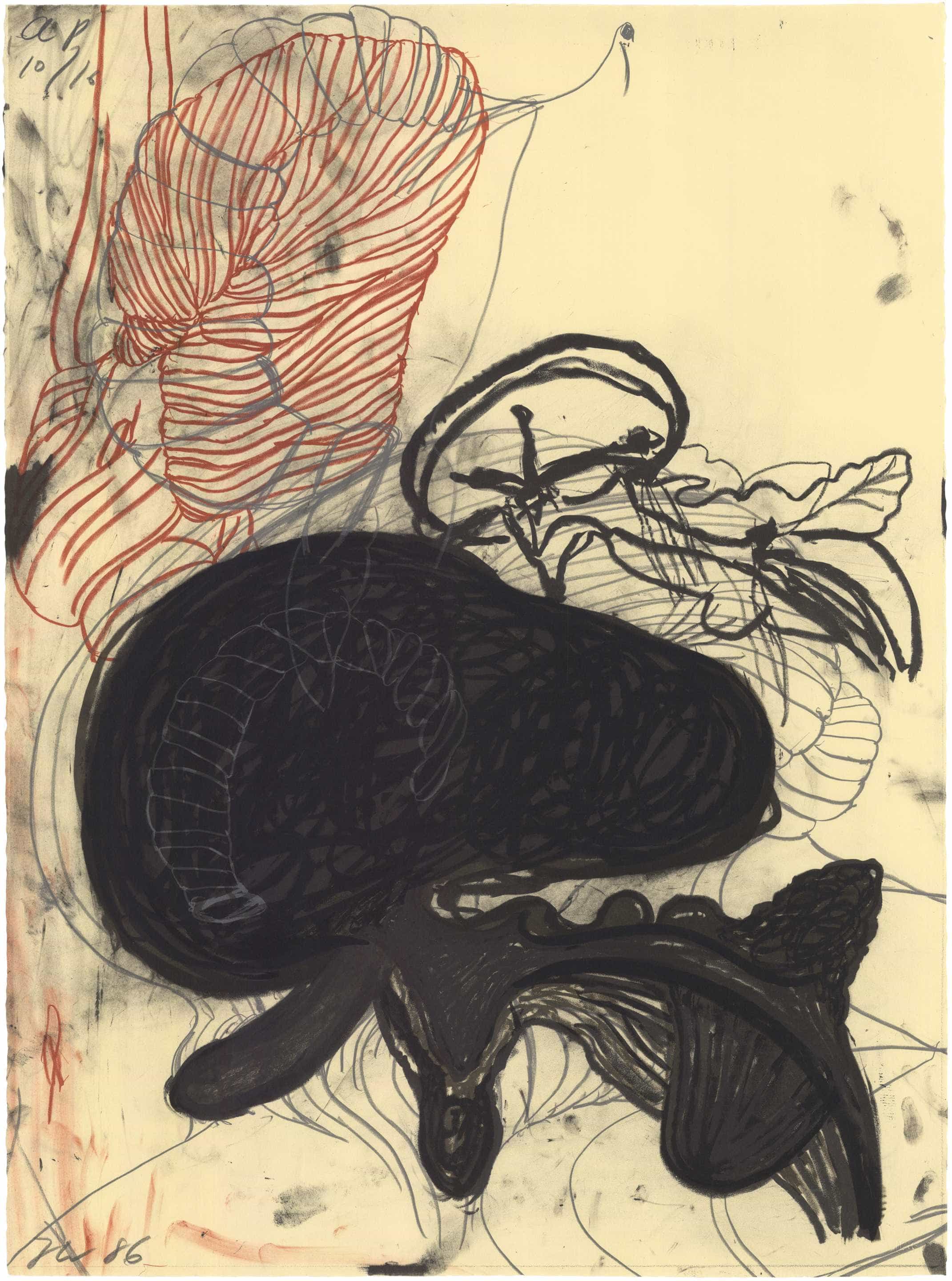 Terry Winters, Untitled (Brooklyn Academy), 1986