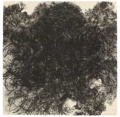 Kiki Smith, Untitled (Hair), 1990