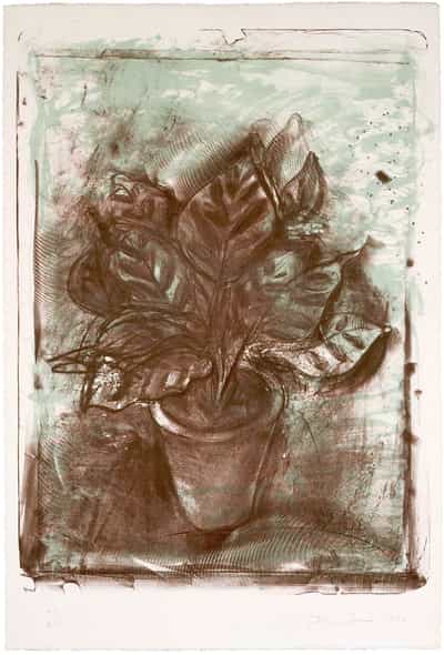 Jim Dine, Jerusalem Plant #4, 1982