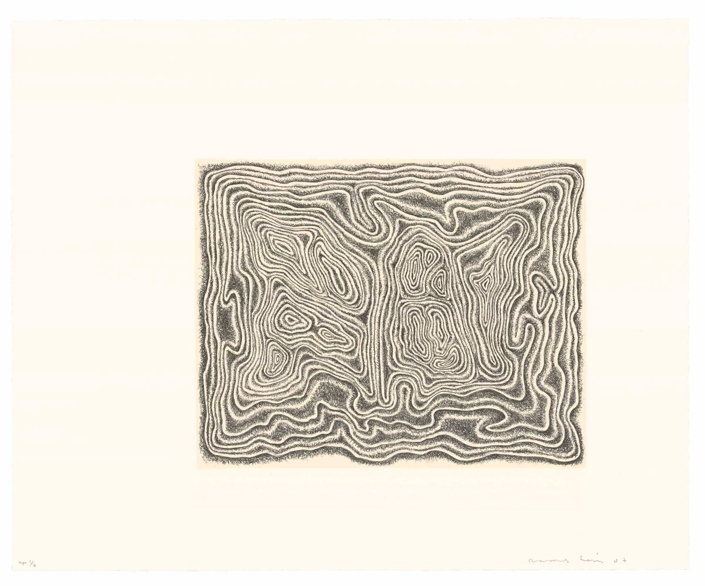 James Siena, Twisting Slab, 2007