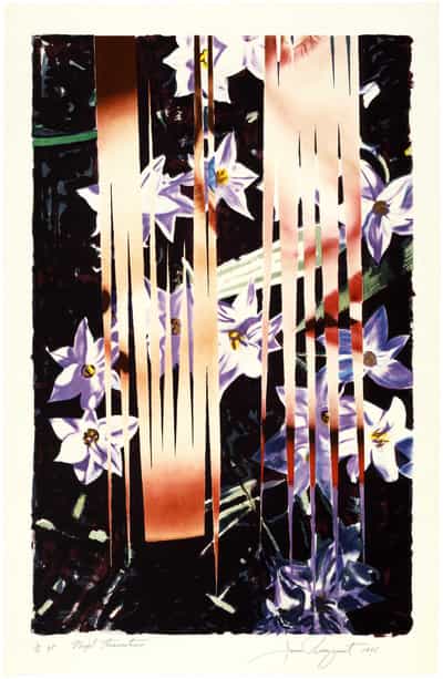 James Rosenquist, Night Transitions, 1985