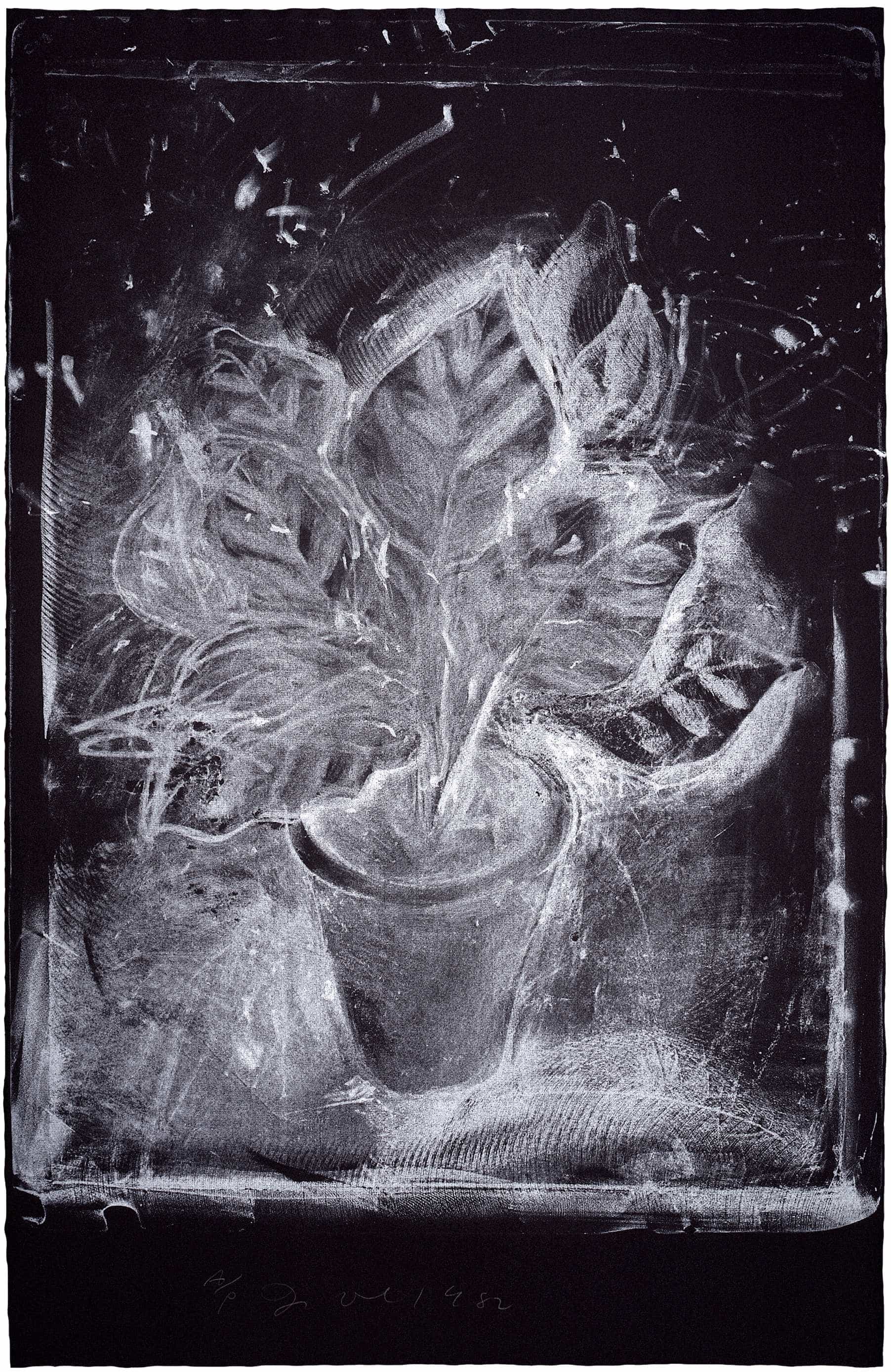 Jim Dine, Jerusalem Plant #1 (White on Black), 1982