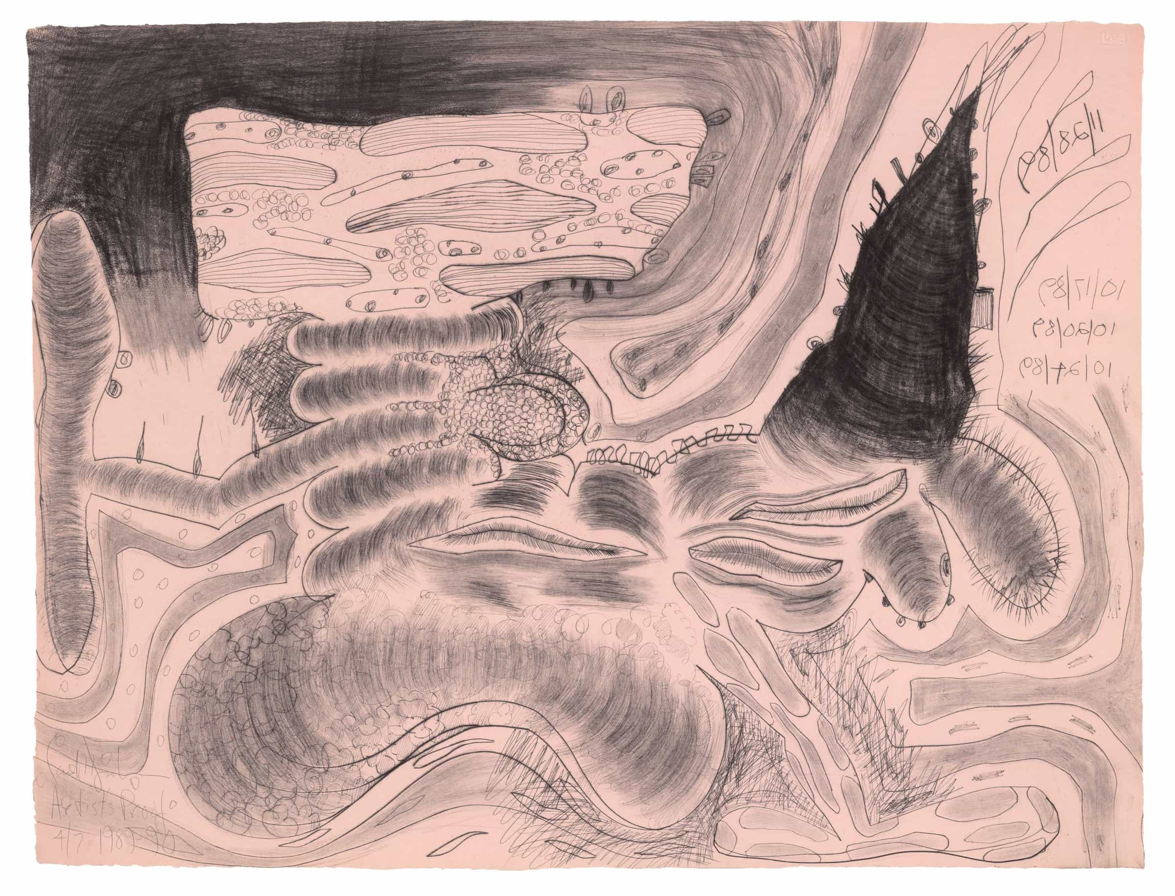 Carroll Dunham, Touching Two Sides, 1989-90