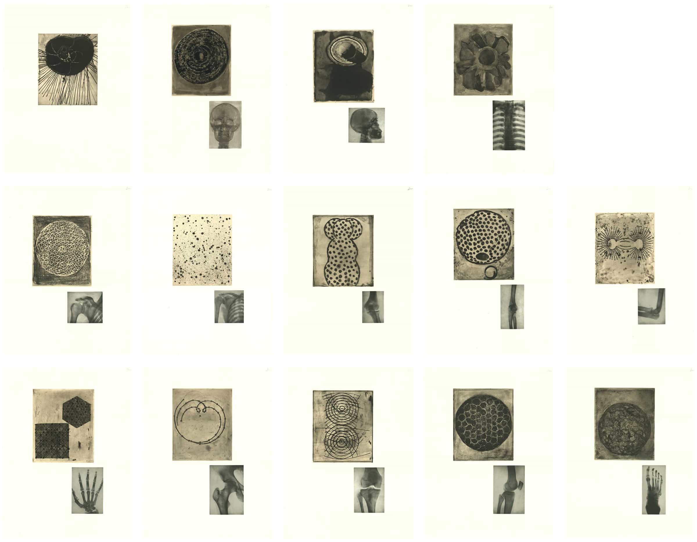 Terry Winters, Fourteen Etchings, 1989