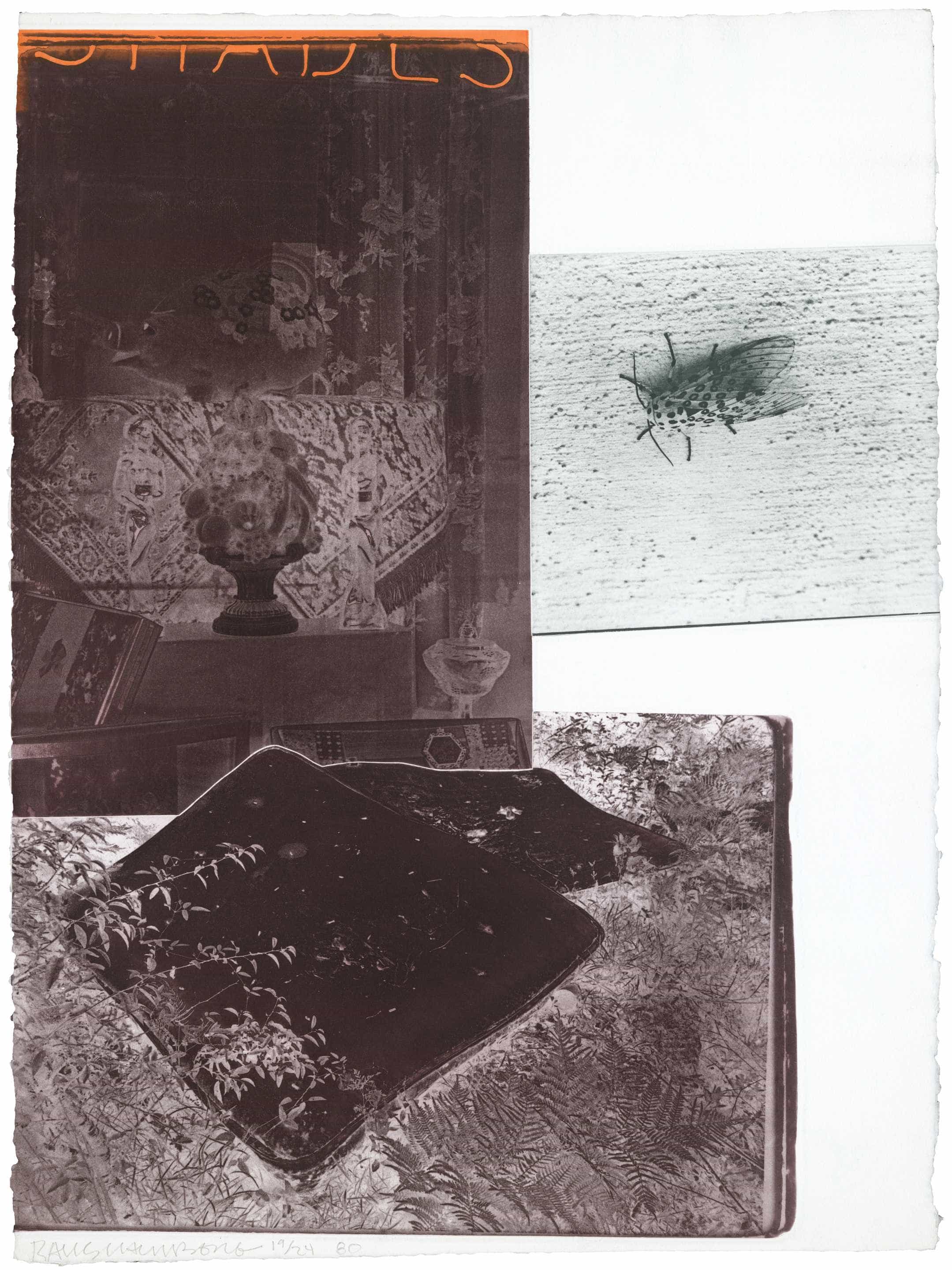 Robert Rauschenberg, The Razorback Bunch (Etching I), 1980