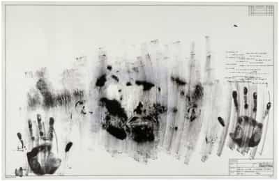Jasper Johns, Skin with O'Hara Poem, 1965