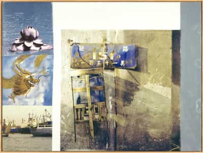 Robert Rauschenberg, Lotus IV (The Lotus Series), 2008