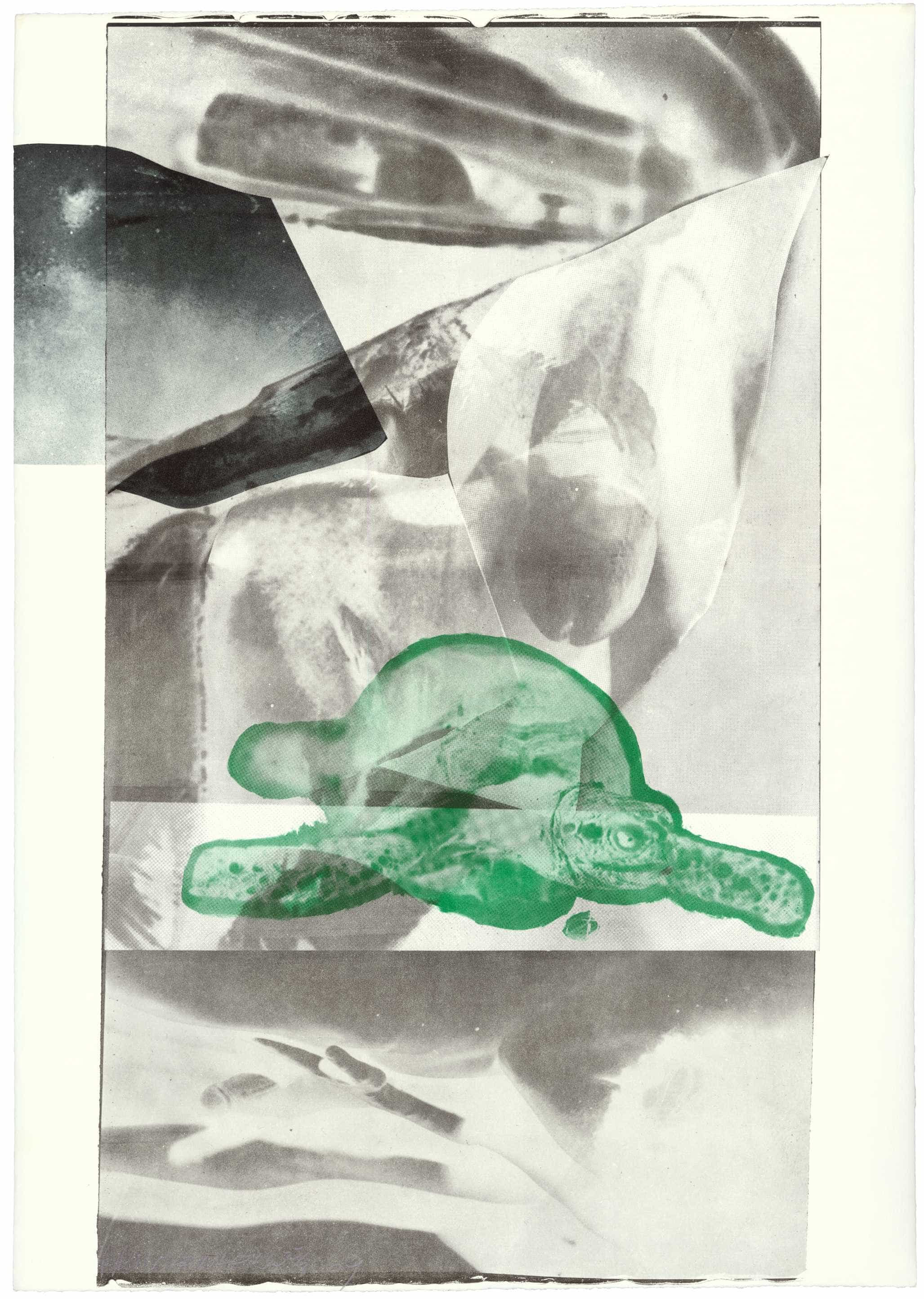 Robert Rauschenberg, Gulf , 1969