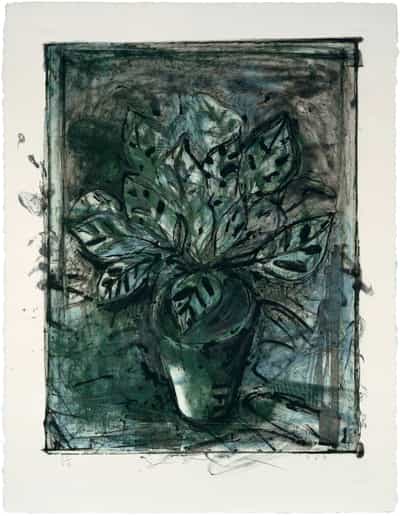 Jim Dine, Jerusalem Plant #8, 1984