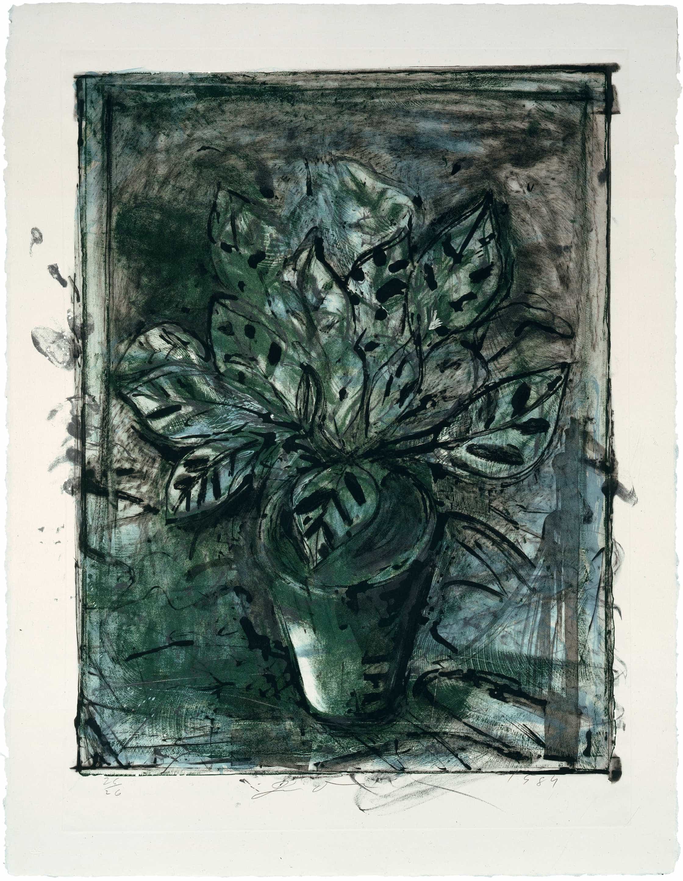 Jim Dine, Jerusalem Plant #8, 1984