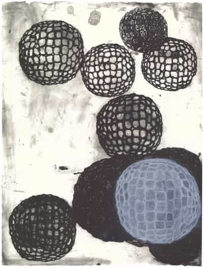 Terry Winters, Morula III, 1983-84